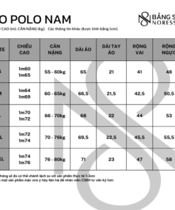 Bang size AO polo Nam Noressy 2 2