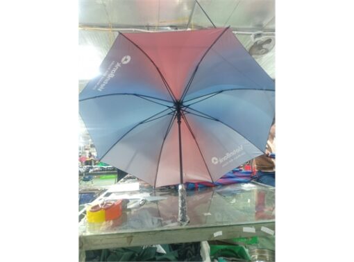 2024 01 23 13 35 21 99 mediumSize