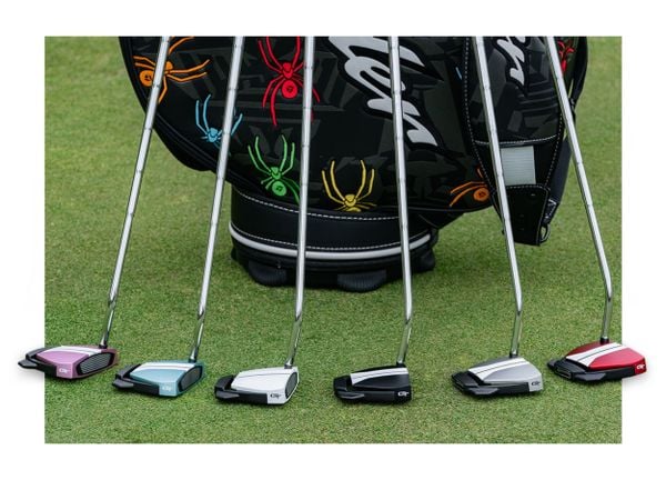 spider_gtx_fb5_w1250_h900_mcrop_p50-50_c66ea6c384054da4af84e64df475b9f8_grande spider gtx fb5 w1250 h900 mcrop p50 50 c66ea6c384054da4af84e64df475b9f8 grande