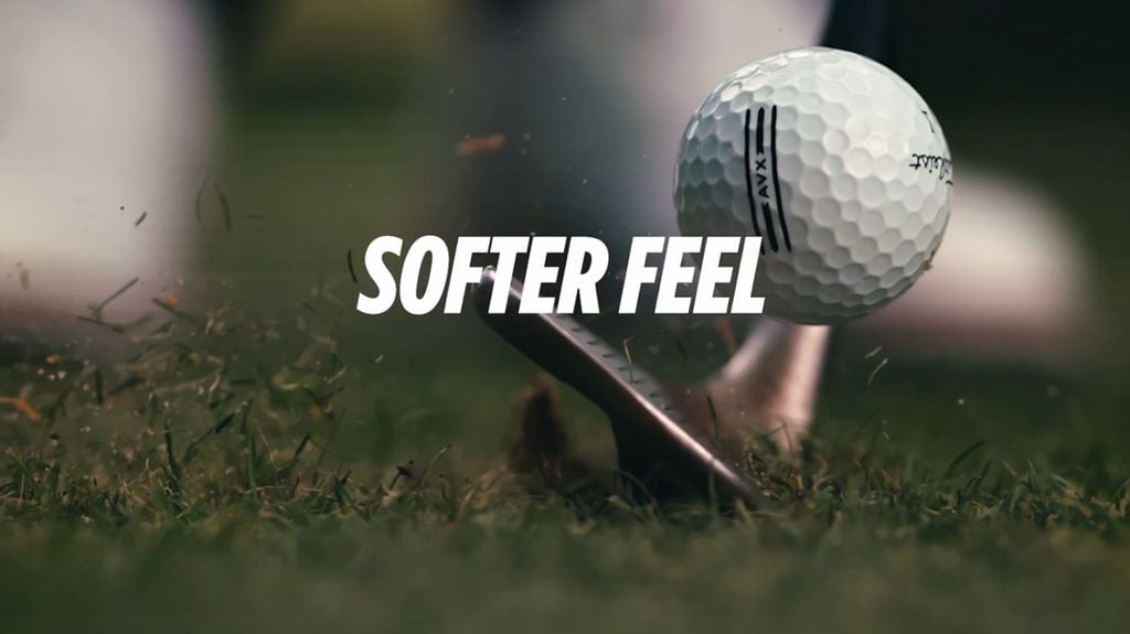 sotfer_1024x1024-1 sotfer 1024x1024 1