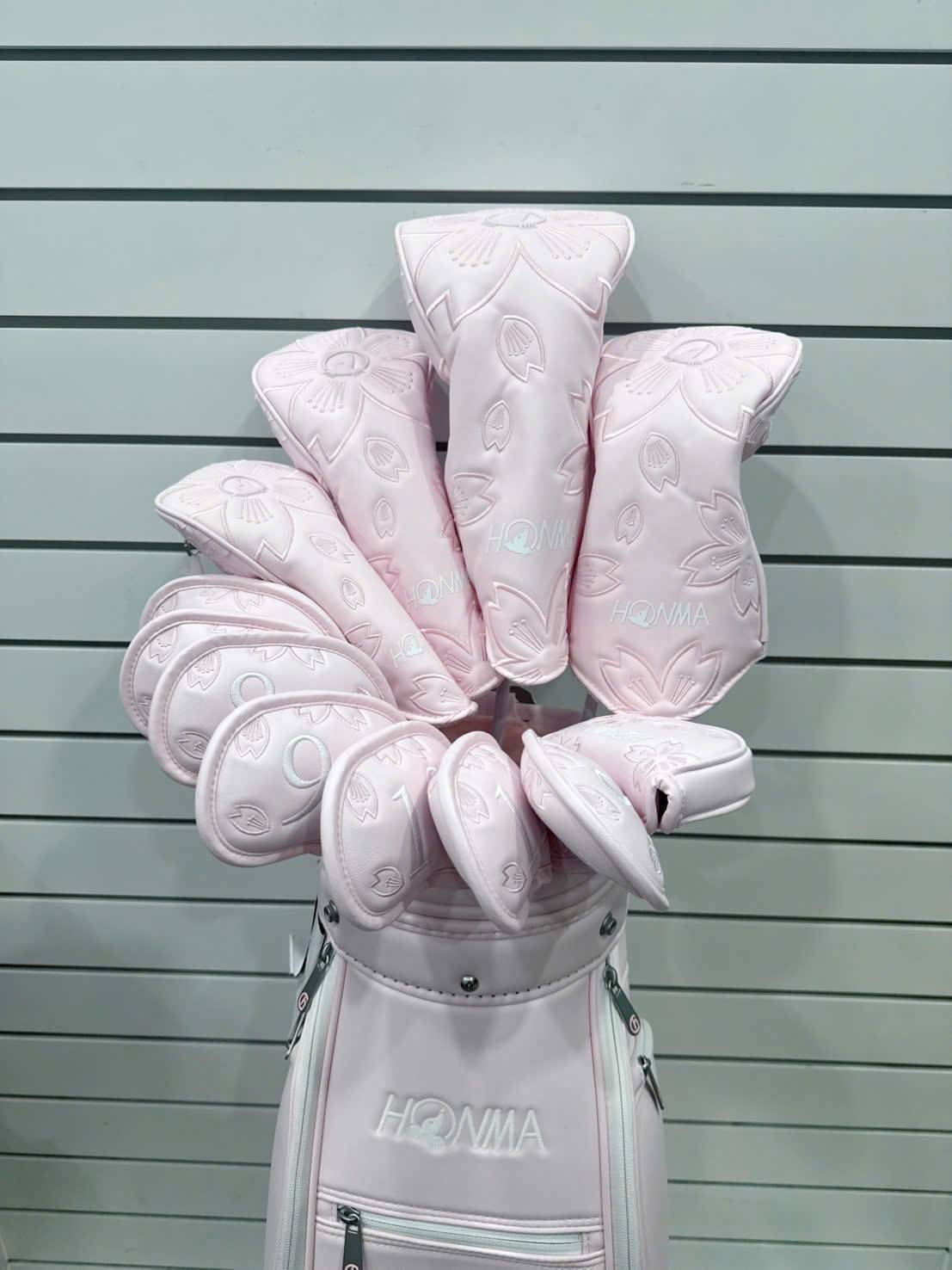 Bộ Gậy Golf Nữ Honma Sakura Dance 2 (Hồng) 18 z7283521434820 80f2fca39ba72ea7dbac6b2e8f5031b4